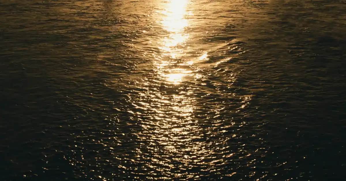 Ağız Sağlığı İçin Gargara Seçimi ve Doğru Kullanım Yöntemleri Hakkında Kapsamlı Rehber