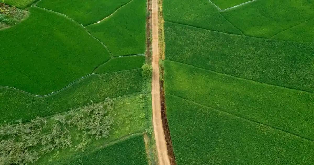 Ağız Suyu Kullanımının Önemi ve Farklı Türleriyle Sağlıklı Gülüşler