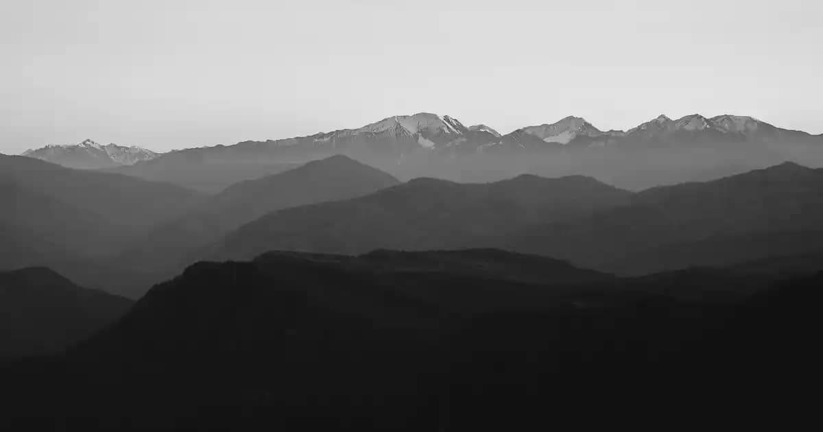 Akkermansia muciniphila ve Probiyotiklerin Kozmetik ve Bağırsak Sağlığına Etkileri