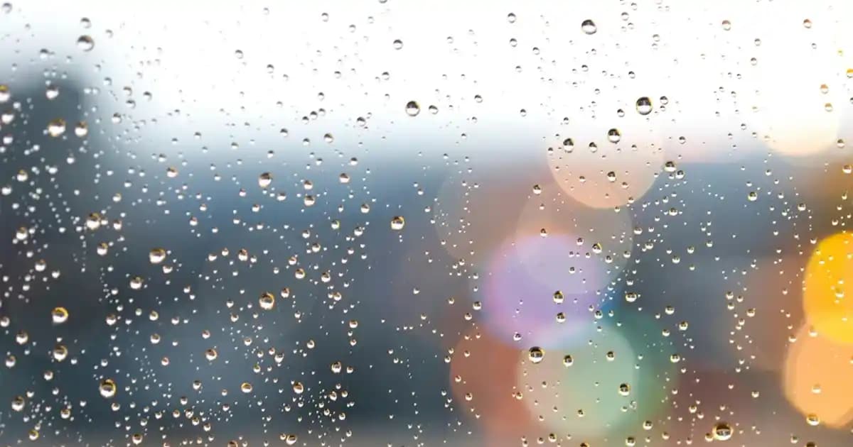 Alman Kolajen Markaları ve Cilt Sağlığında En Güvenilir Seçenekler