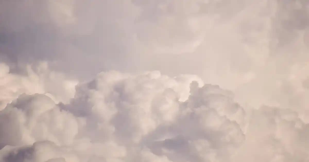 Aloe Vera'nın Cilt Sağlığına Faydaları ve Doğal Güzellik İçin Kullanım İpuçları