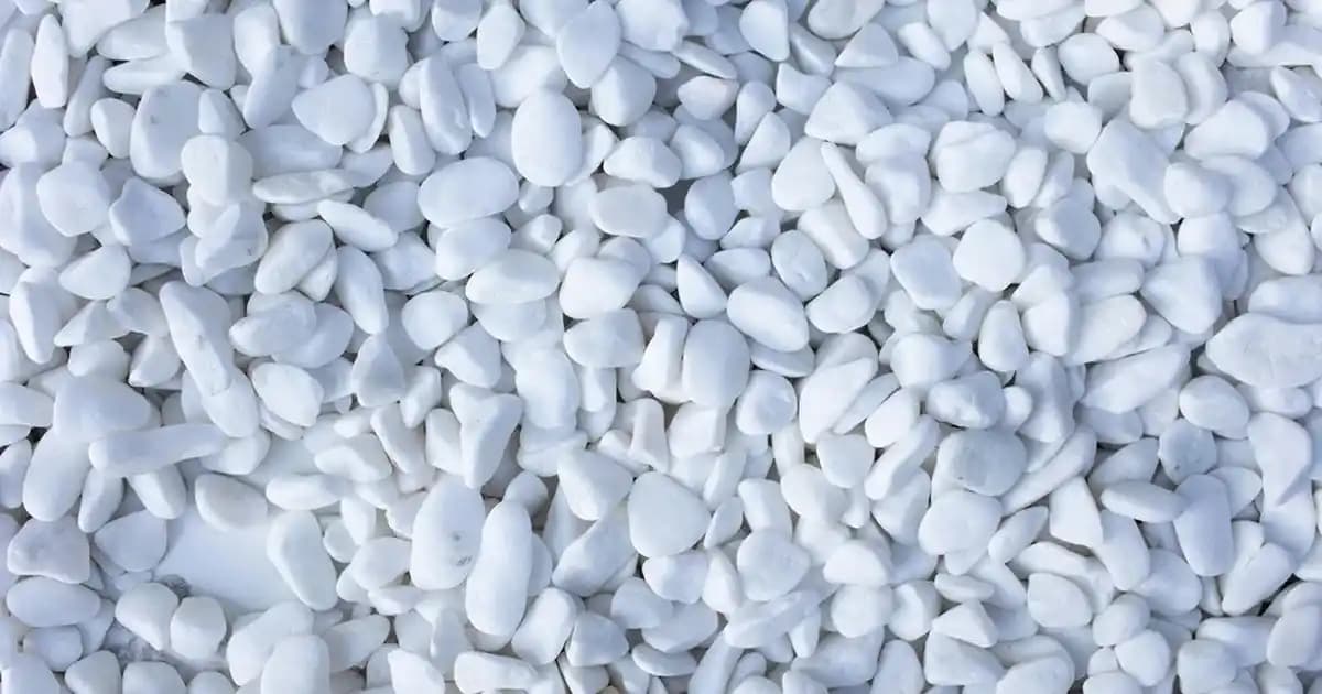 Aloe Vera'nın Cilt Sağlığına Faydaları ve Doğal Güzellikteki Rolü