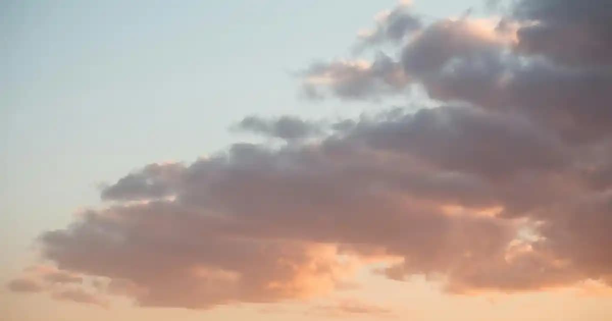 Aloe Vera Saç Maskeleri ile Doğal ve Güçlü Saçlara Kavuşma Rehberi