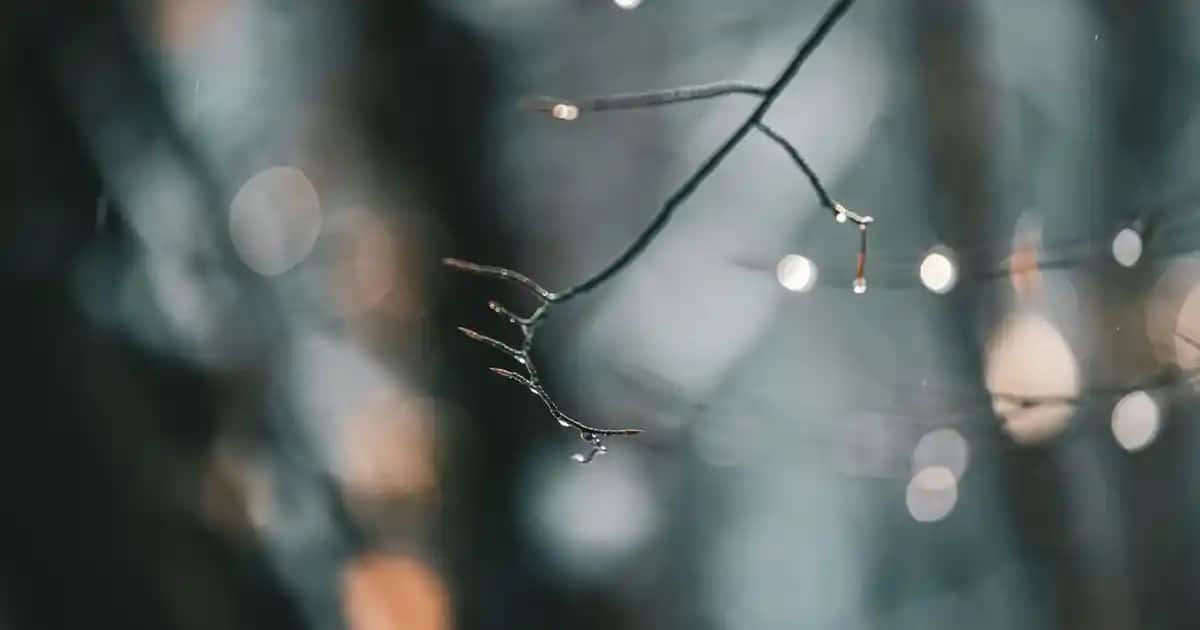 Anti-Wrinkle Kremler ve Cilt Gençleştirme Yöntemleri Hakkında Bilmeniz Gerekenler