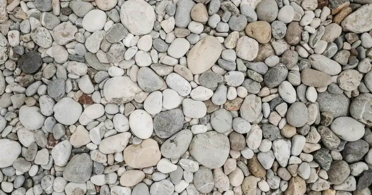 Asil Kumral Nedir? Doğal ve Zarif Saç Renkleri Hakkında Bilmeniz Gerekenler