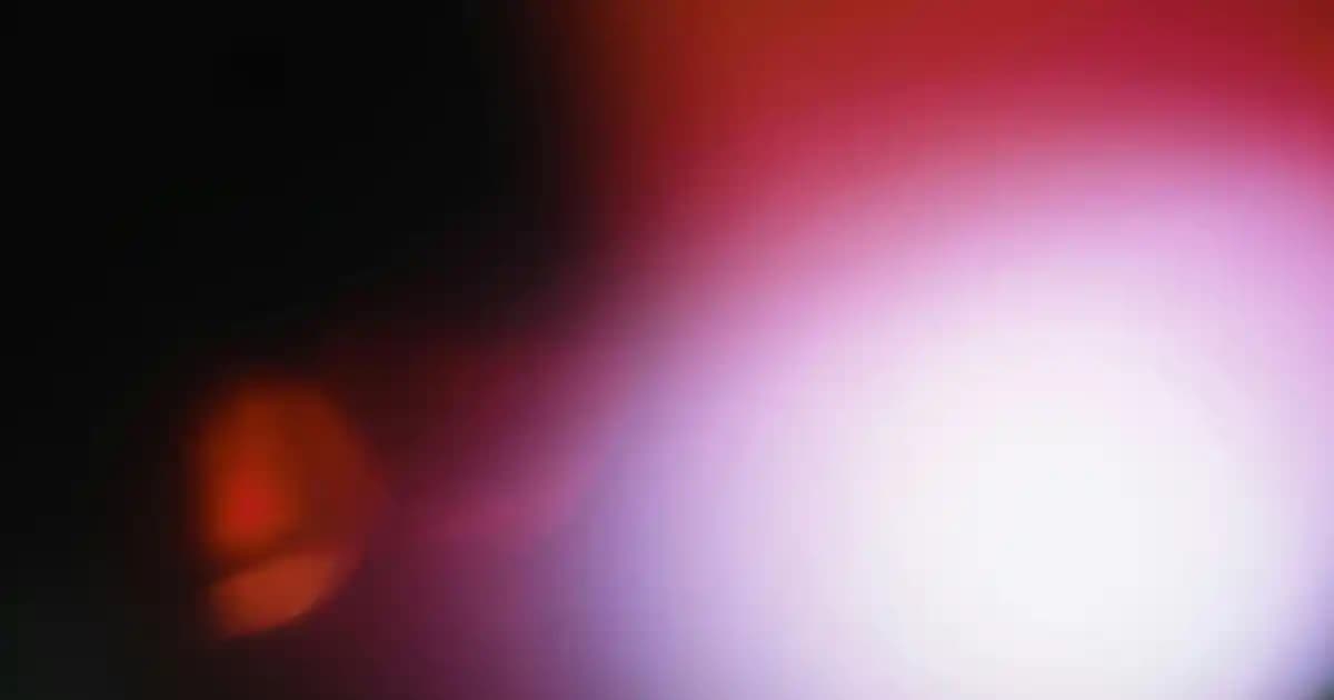 Astragalus Kökenli Bitki ve Kozmetik Dünyasındaki Yeri Analizi