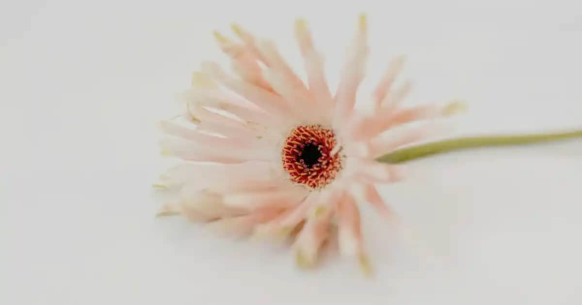 Atoderm Nemlendirici Ürünleri ile Hassas ve Kuru Ciltler İçin Güvenilir Bakım Çözümü