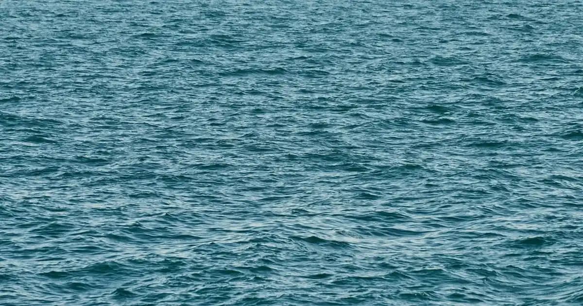 Avene Cicalfate Krem Kullanımı ve Etkili Bakım İpuçları Rehberi