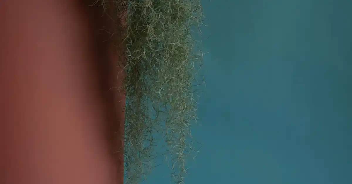 Avene Cleanance Jel ile Yağlı ve Akne Eğilimli Ciltler İçin Etkili Temizlik Çözümü