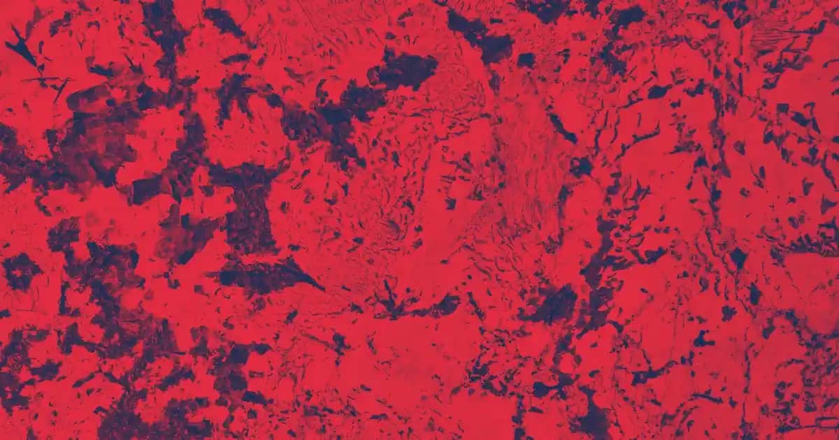 Avene Cleanance Serisi Akne ve Yağlı Ciltler İçin Güvenilir Cilt Bakım Çözümleri