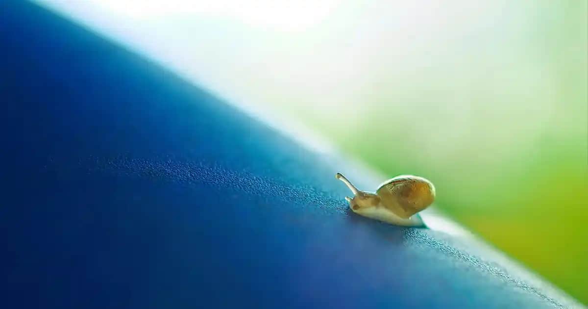 Ayak Kokusu İçin Eczaneden Ne Alınmalı? Etkili Çözüm ve Ürün Tavsiyeleri