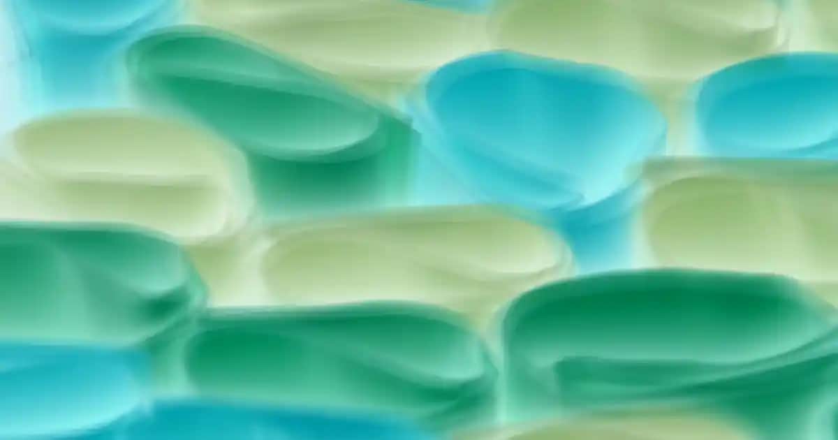 B12 Vitamini Fiyatları ve Kozmetik Sektöründeki Rolü Hakkında Detaylı Bilgi