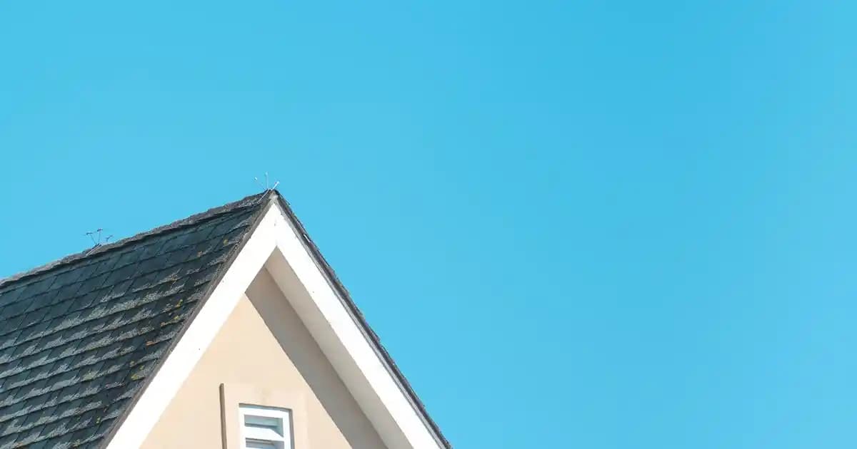 Bağışıklık Sistemini Güçlendiren Kozmetik Yaklaşımlar ve Yenilikler