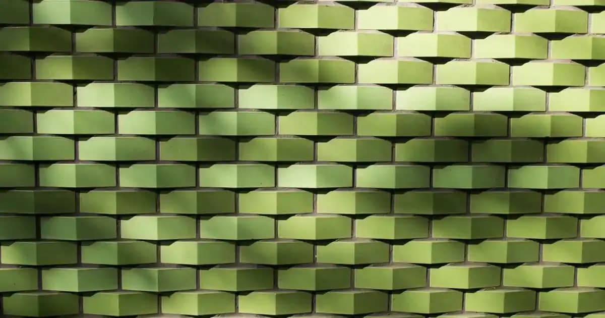 Balık Yağı Takviyeleri ile Güzelliğinizi Doğal ve Kolay Şekilde Destekleyin