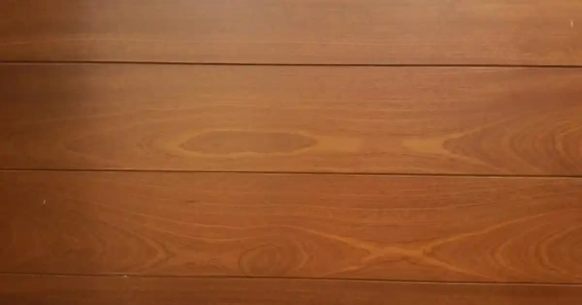 Balık Yağı ve Kozmetik Uygulamaları: Doğal Güzelliğin Güçlü Kaynağı