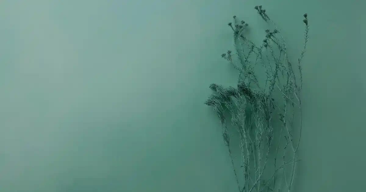 Bebek Banyo Sabunu Seçimi: Güvenli ve Doğal Ürünler İçin Kılavuz