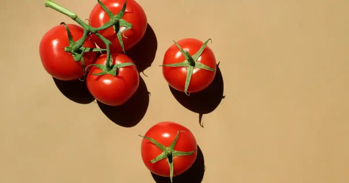 Bebek Nemlendiricisi Seçimi ve Kullanımı: Hassas Ciltler İçin En Uygun Ürünler