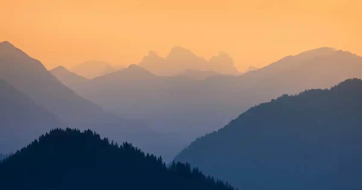 Bebeklerde Pişik Çeşitleri ve Koruyucu Önlemler Hakkında Güncel Bilgiler