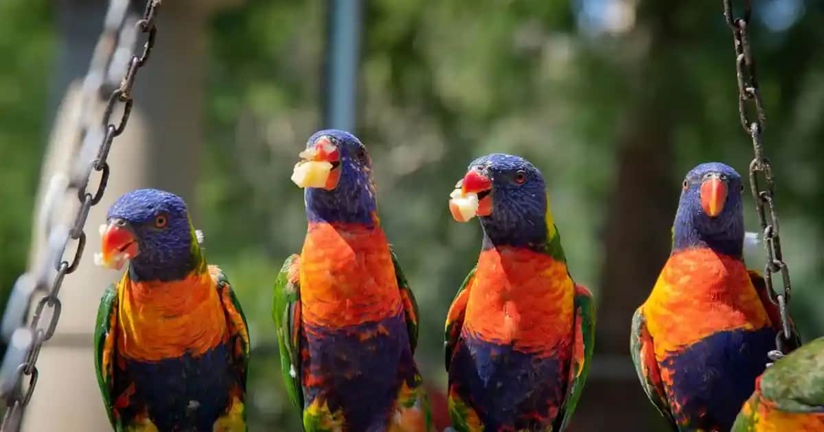 Bepanthol Bakım ve Onarım Kremi: Hassas ve Kuru Ciltler İçin Güçlü Destek