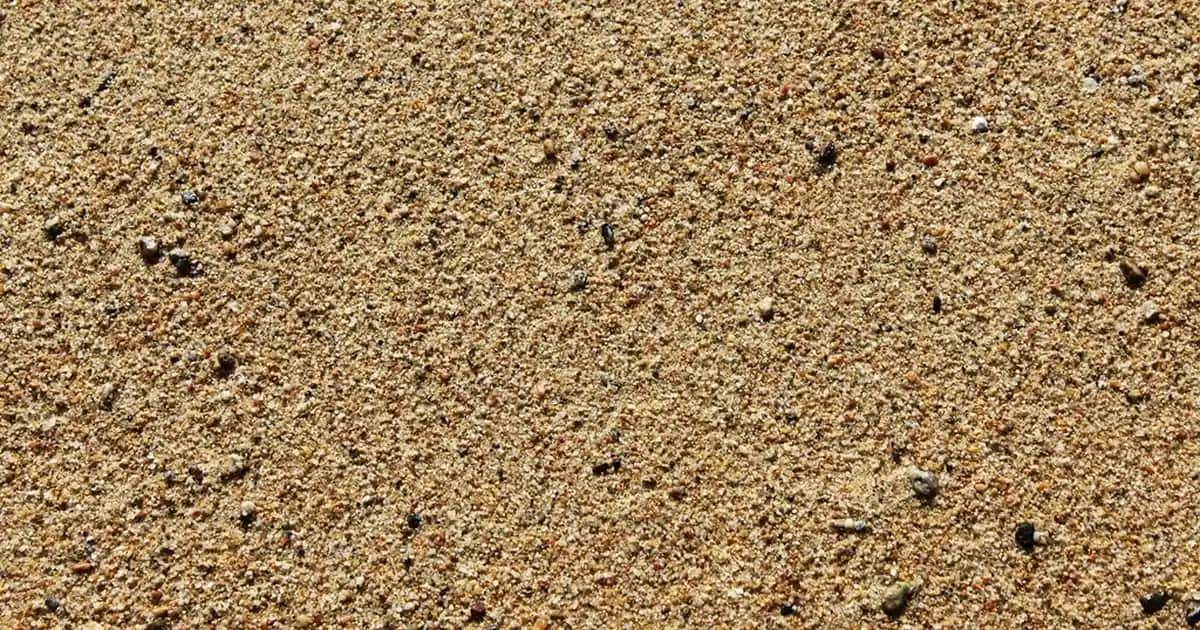 Bioblas 1000 ml Şampuan ile Saç Dökülmesine Karşı Güçlü ve Doğal Çözüm