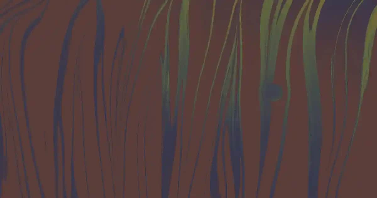 Bioblas ile Saç Dökülmesine Karşı Etkili Çözüm: Güçlendiren Doğal Bakım Ürünleri