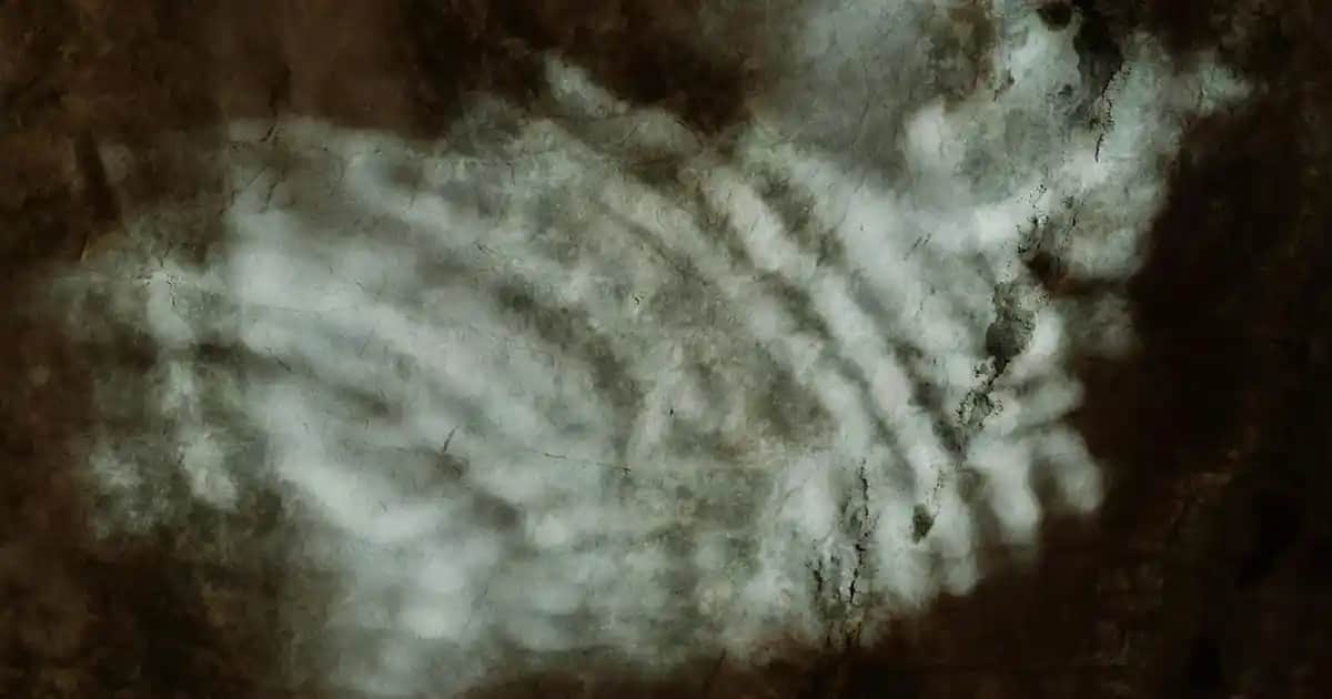 Bioblas Kollajen ve Keratin İçeren Şampuanlar: Saç Sağlığını Güçlendiren Modern Çözümler