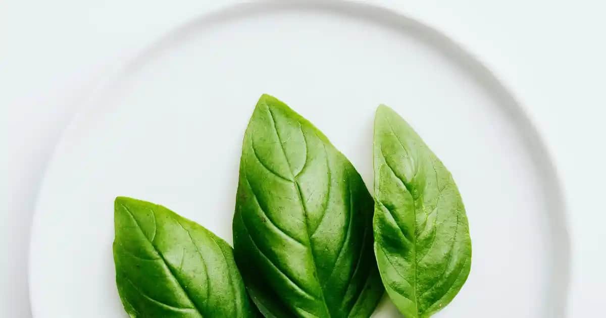 Bioderma Atoderm Intensive Moussant: Kuru ve Hassas Ciltler İçin Güvenilir Temizleyici