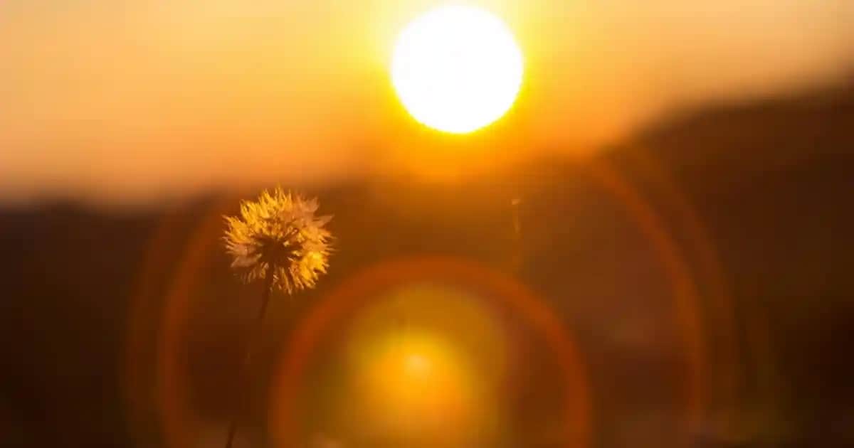 Bioderma Atopik Dermatit Kremleri: Egzama ve Kuru Ciltler İçin Güçlü Çözümler