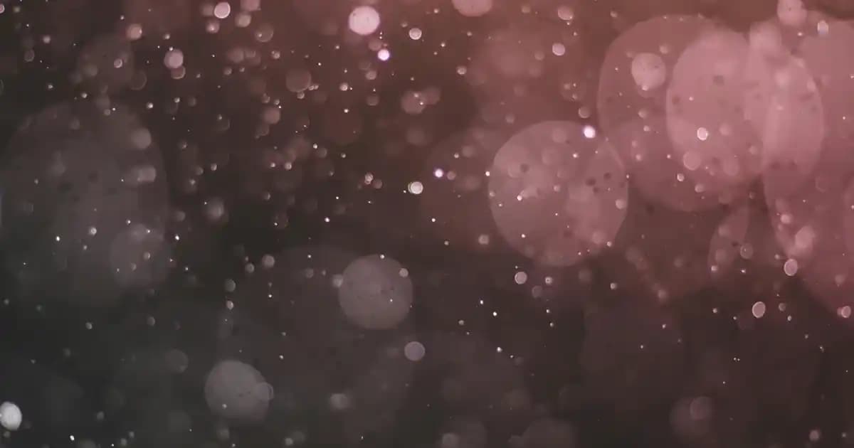 Bioderma Sebium Geli Moussant Kullanımı ve Temizlik Rutini Rehberi