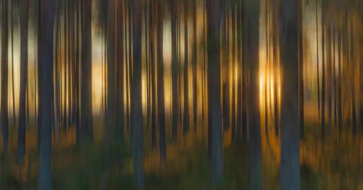 Biodrops Pastil Serisiyle Doğal ve Güvenilir Boğaz Rahatlatıcı Çözümler