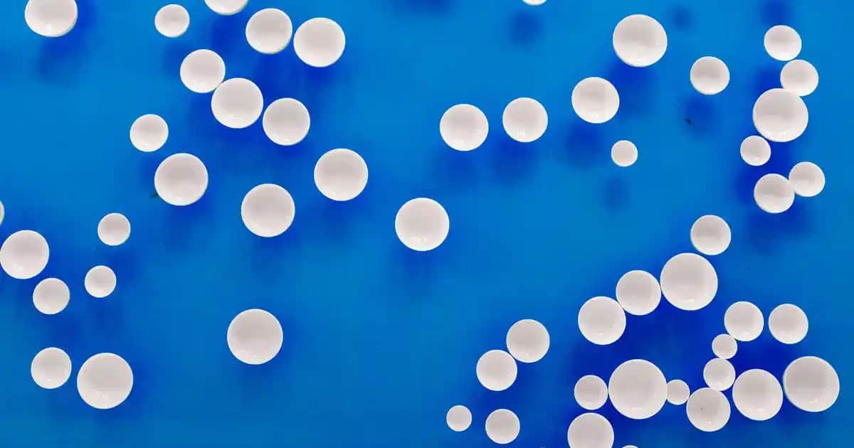 Bionyt Bit Şampuanı: Doğal İçeriklerle Bit ve Parazitlerle Mücadele Yöntemleri