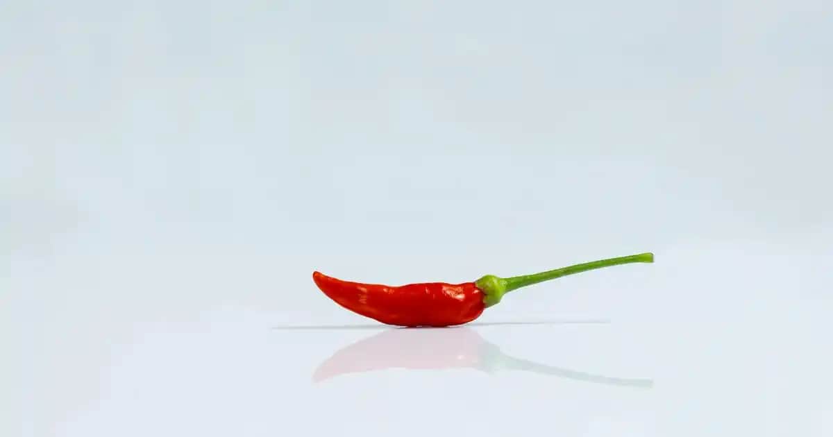 Bioxcin Kolajen Tablet: Cilt, Saç ve Tırnak Sağlığını Destekleyen Takviye Ürünü