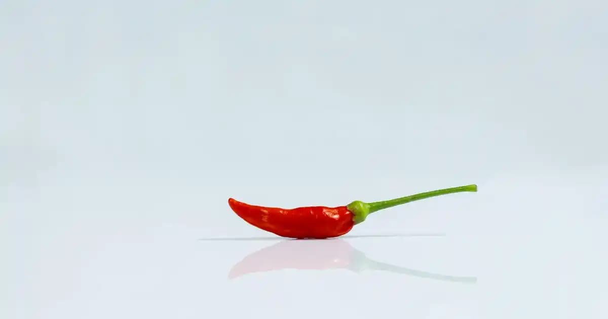 Bioxcin Kolajen Tablet: Cilt, Saç ve Tırnak Sağlığını Destekleyen Takviye Ürünü