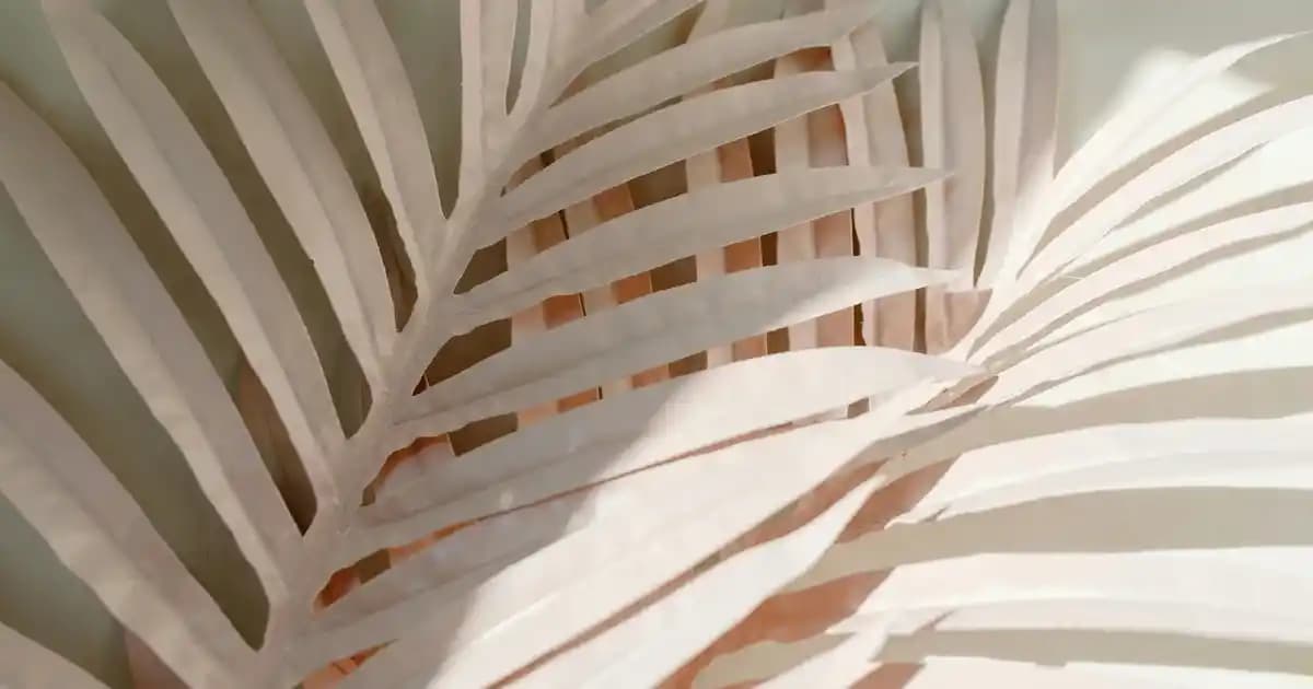 Bioxcin Ürünleri ve Doğru Kullanım Yöntemleriyle Saç Sağlığınızı Destekleyin