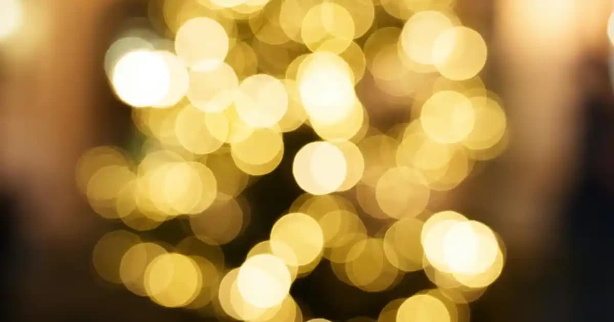 Bitkisel Şampuanlar ile Saç Sağlığını Doğal Yollarla Koruma Rehberi