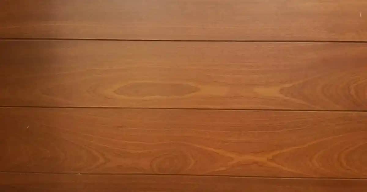 Büyük Kepek Sorunu ve Etkili Bakım Yöntemleri Hakkında Kapsamlı Bilgi