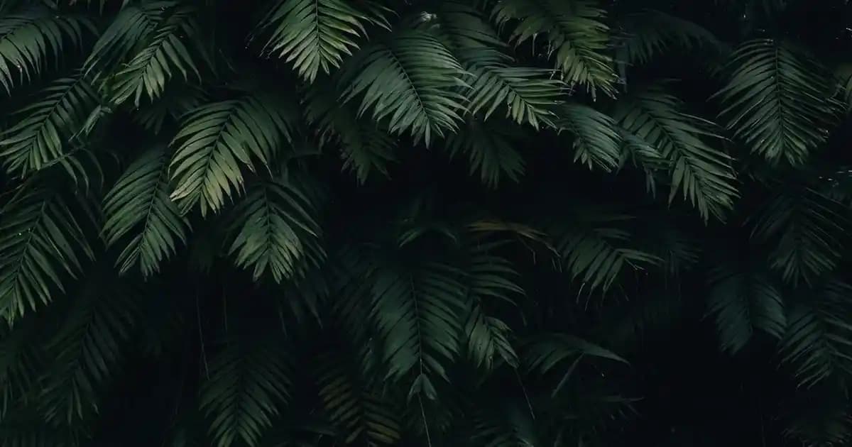 C Vitamini 500 Mg ile Güzellik ve Sağlık İçin Etkili Takviye Rehberi