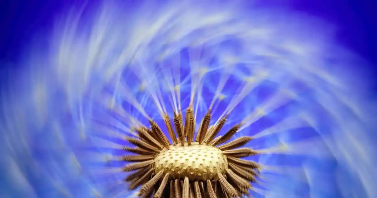 C Vitamini Takviyeleri ve Güzellik ile Sağlık Üzerindeki Etkileri Hakkında Kapsamlı Bilgi