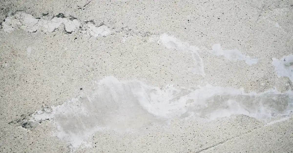 Çekirdek Yağı: Kozmetik ve Sağlıkta Doğal Güçlü Bileşenlerin Kullanımı ve Faydaları