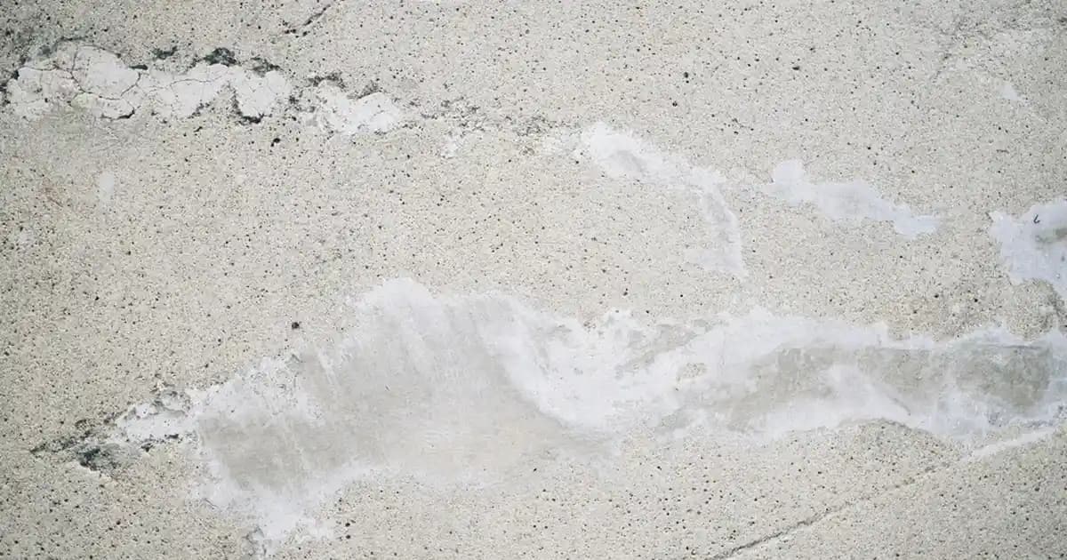 Çekirdek Yağı: Kozmetik ve Sağlıkta Doğal Güçlü Bileşenlerin Kullanımı ve Faydaları