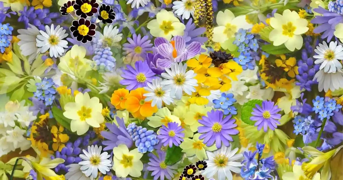 CeraVe Yetkili Satıcılar ve Güvenilir Ürün Alım Rehberi