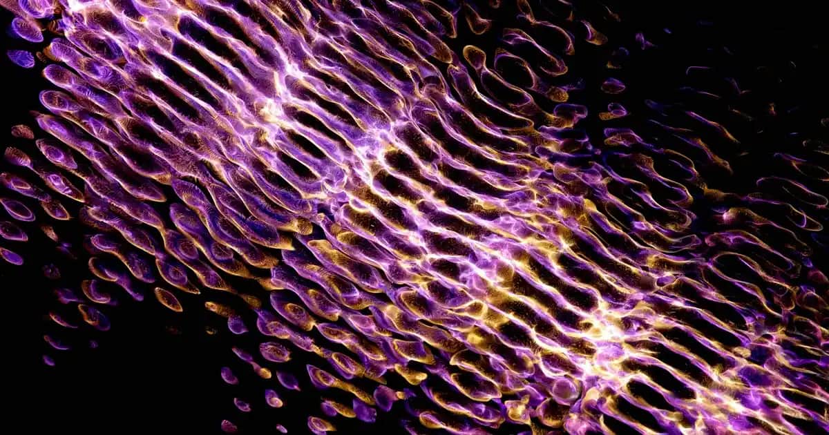 Cilt Güzelliği ve Sağlığı İçin Vitaminlerin Rolü ve Doğru Seviyeleri