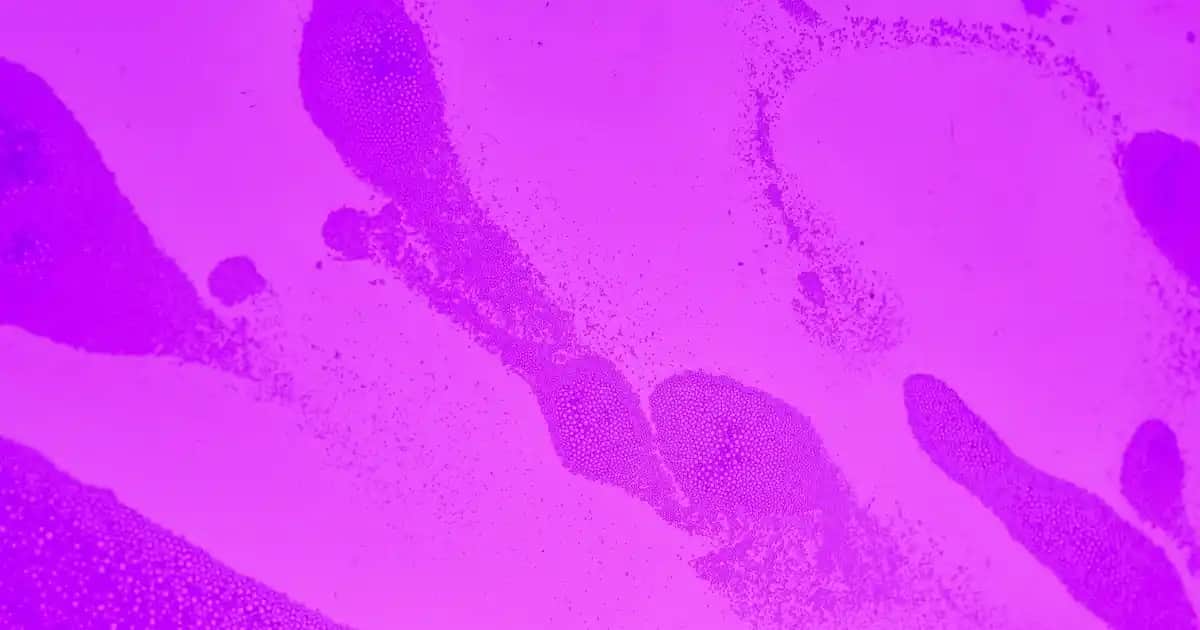 Cilt Sağlığını Destekleyen Çinko Vitamini ve Kullanım İpuçları