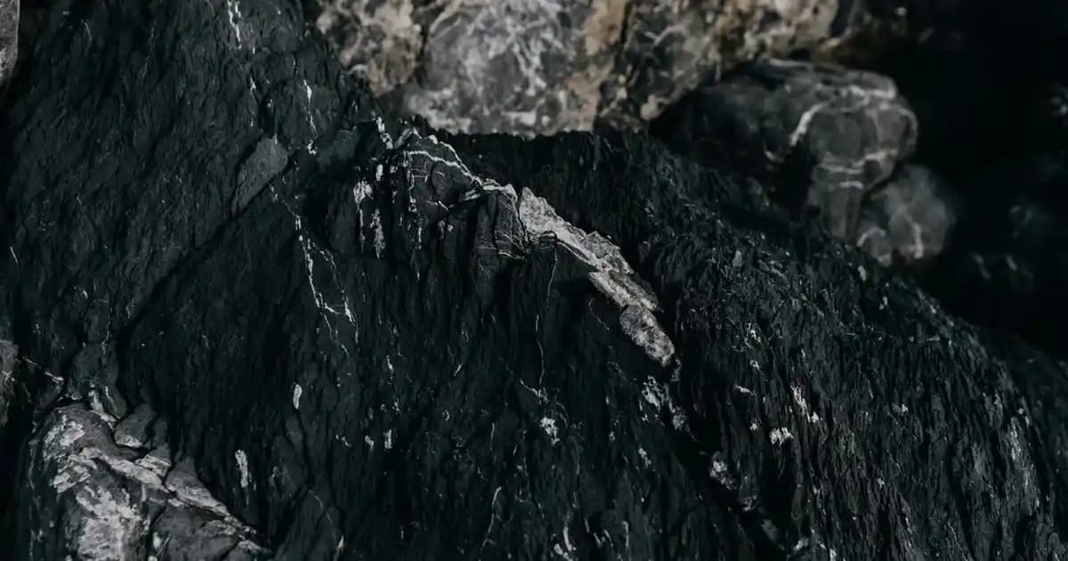 Collagen Forte Nedir Cilt Sağlığı ve Güzellik Üzerindeki Etkileri Hakkında Bilgi