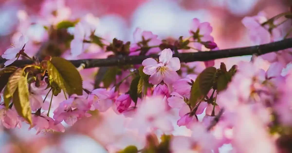 D Vitamini Takviyeleri ve Kozmetik Etkileri Sağlık ve Güzellik İçin Bilmeniz Gerekenler