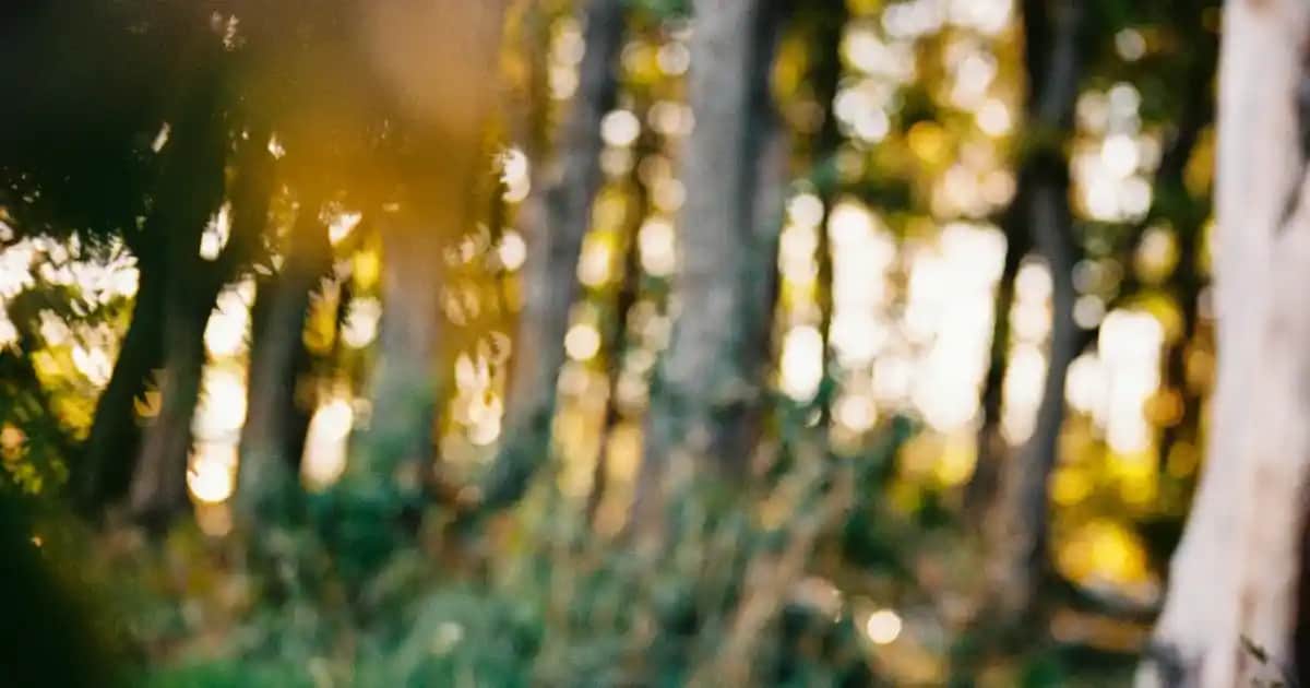 D3 Vitamini: Kozmetik ve Sağlık Alanında Güçlü Destek Sağlayan Vitamin