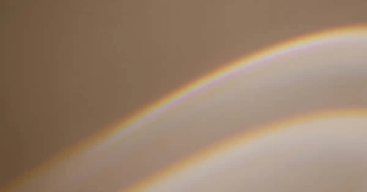 Dalin Sıvı Deterjan: Bebek ve Hassas Ciltler İçin Güvenli Temizlik Çözümü