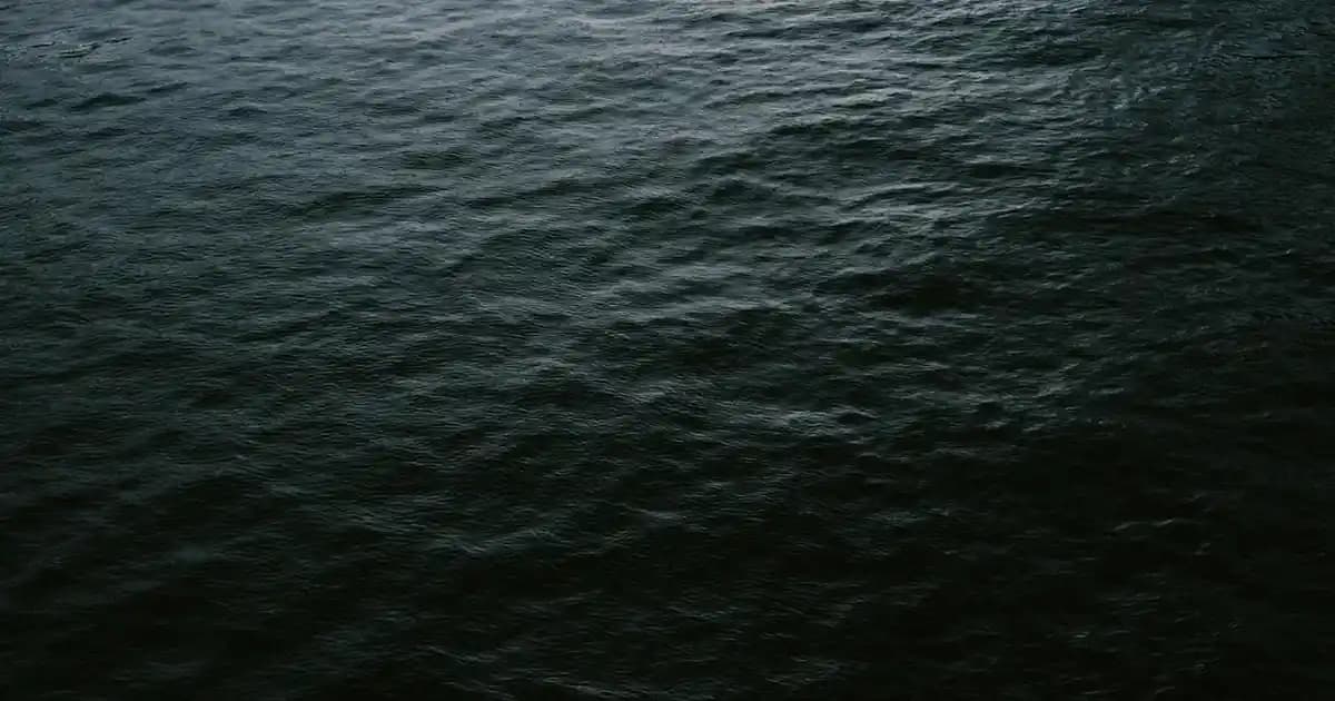 Darphin Krem Çeşitleri ve Kullanım İpuçlarıyla Cilt Bakımında Yeni Dönem