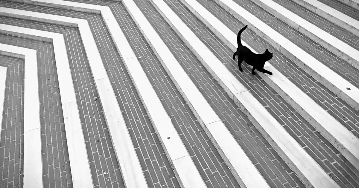 Deotak Krem Deodorant Kullanıcı Yorumları ve Güvenilirlik Analizi