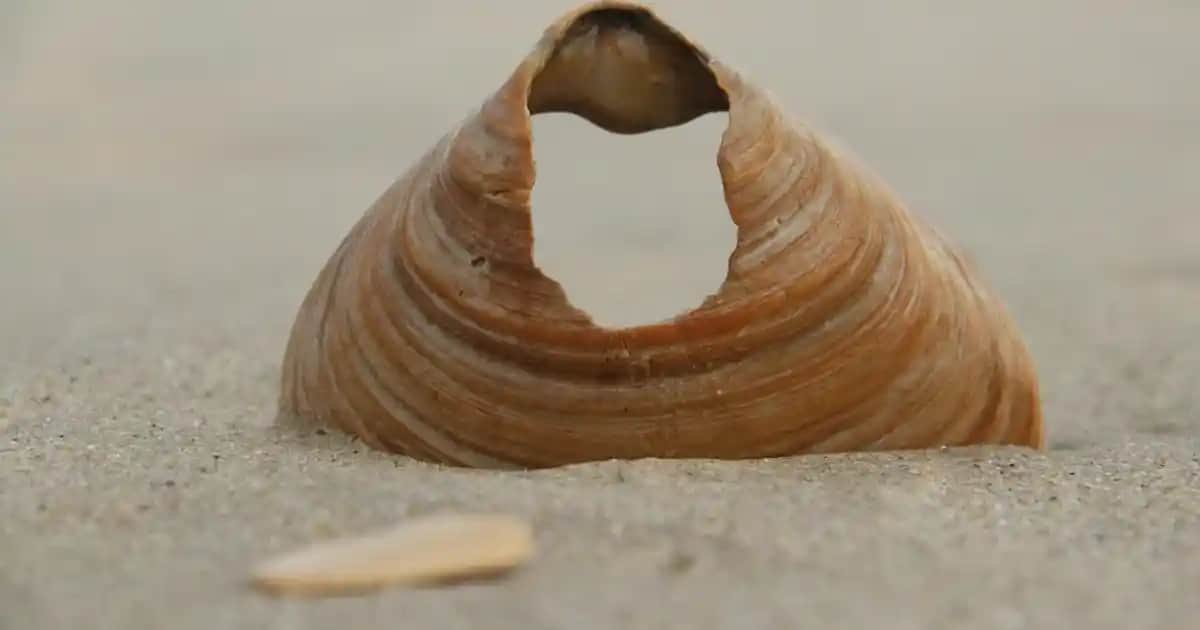 Dermalogica Serumları: Cilt Sağlığı ve Gençlik İçin En Güçlü Çözümler